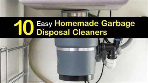 10 Easy Homemade Garbage Disposal Cleaners