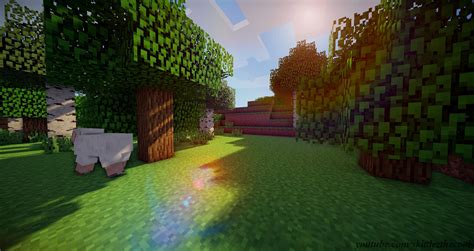 fondo de pantalla de minecraft shader,césped,árbol,software de ...