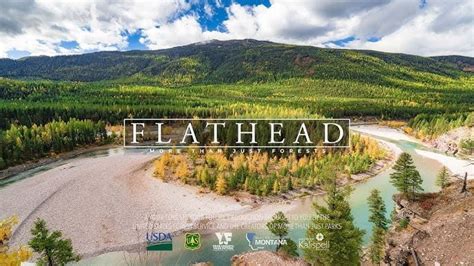 Flathead National Forest | Abakcus | Video