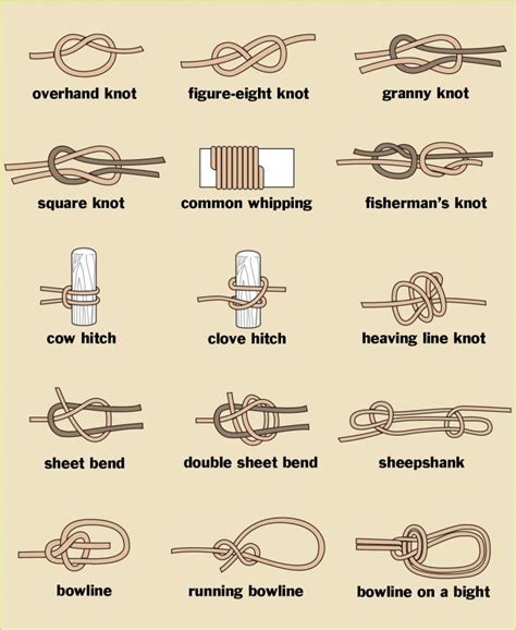 How to Tie Knots | Illustrations, Craft and Survival