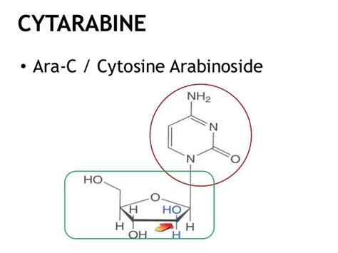 Cytarabine