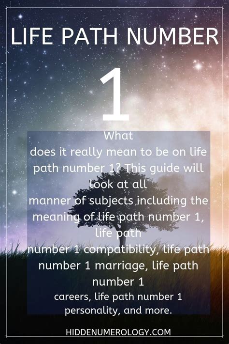 Life Path Number 1 Numerology Meaning - December 2022