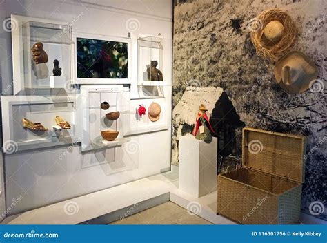 Artifacts on Display at Pumapungo Museum in Cuenca, Ecuador Editorial ...