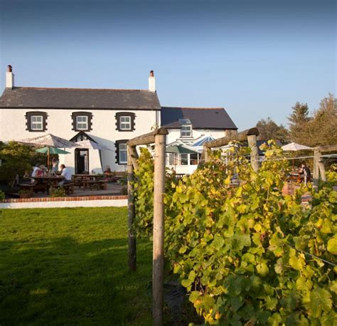 Spotlight on Llanerch Vineyard | Meet In Wales