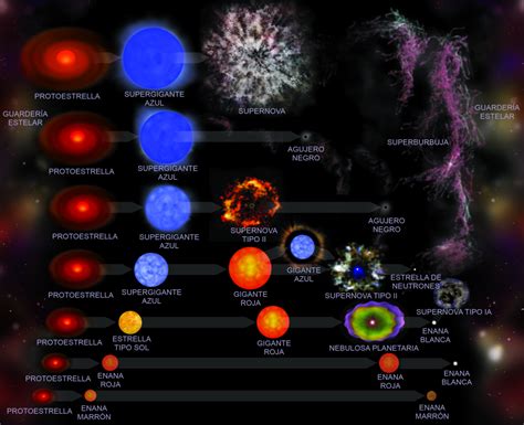 Ciclo De Vida De Una Estrella Para Niños