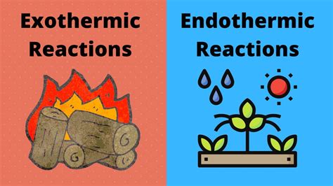 Endothermic And Exothermic Reactions