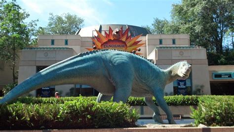 Dinoland - Animal Kingdom - LaughingPlace.com