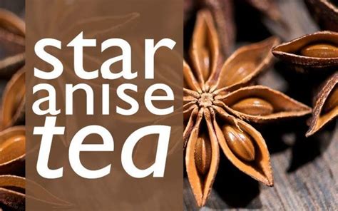 Star Anise Tea: How to Brew, Where to Buy, and a WARNING // TP | Star ...