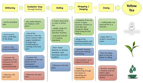 siamteas My Little Tea School - The ABC of TEA : Yellow Tea Processing ...