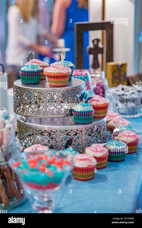 Cupcakes and candies in blue and pink at a gender reveal party Stock ...