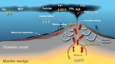 Can Hydrothermal Vents Help us Learn About the Evolution Of Life On Earth?