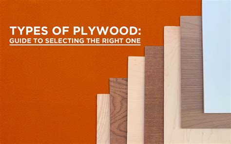 plymarc Types of Plywood: A Guide to Selecting the Right One - plymarc