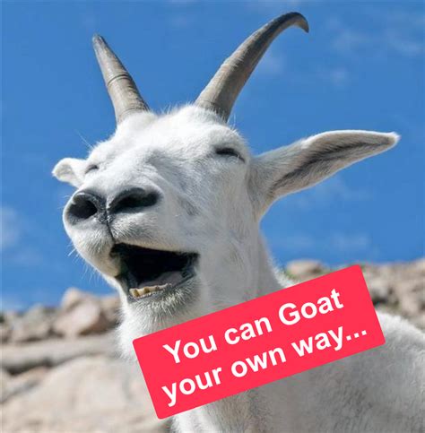 Laughing Goat Meme Generator - Piñata Farms - The best meme generator ...