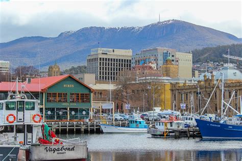 Mount Wellington Walks: A Hobart, Tasmania Hike - Jetsetting Fools