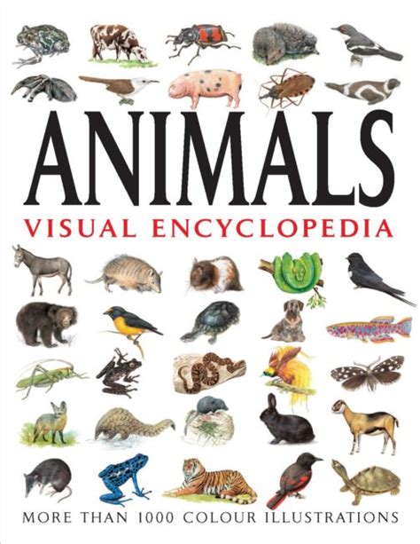 Animals: Visual Encyclopedia - Amber Books