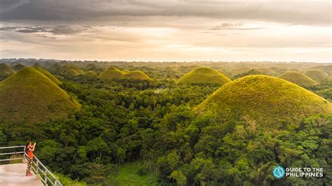 Chocolate Hills in Bohol: Best Time to Go, Top Tours, Tra...