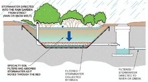 Bioretention Diagram