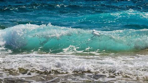 1000+ Amazing Waves Photos · Pexels · Free Stock Photos