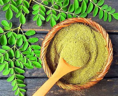 Try Moringa Powder Recipes To Delay Ageing | HerZindagi