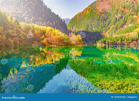 Aerial View of Five Flower Lake at Autumn Sunrise Time. Stock Image ...