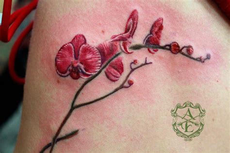 Orchid Tattoo done by Sean Ambrose by seanspoison on DeviantArt