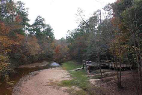 Get Out: Stay the Night at the Lake Houston Wilderness Park | Houstonia