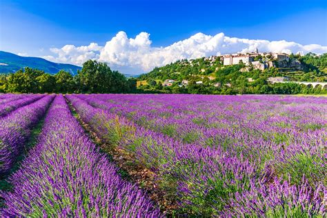 10 Best Places to See Lavender Fields in France - What are France's ...