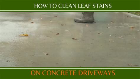 How to Remove Leaf Stains from Concrete Driveways & Seal It!