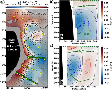 The Deep Western Boundary Current observational scenario of anticyclone ...