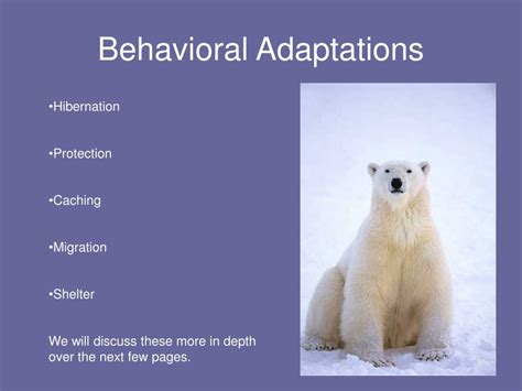 What Is Psychological Adaptation