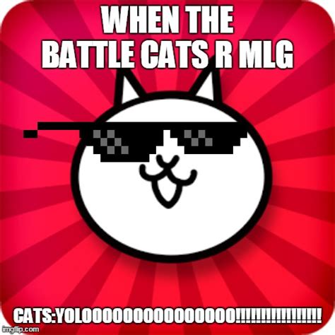 Image tagged in the battle cats,lolcats - Imgflip