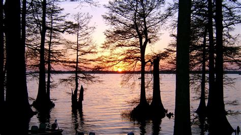 Reelfoot Lake Camping: Essential Tips for Your Next Trip