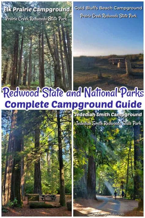 Redwood National Park Camping Guide | Park Ranger John