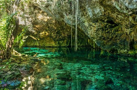 Cenote Diving In Mexico: What Should You Know? | AirEvac International