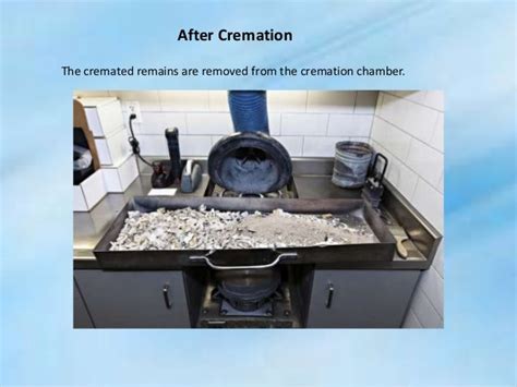 Steps for cremation process in florida