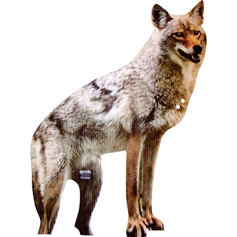 Bird-X Coyote Predator Decoy — Model# COYOTE | Northern Tool + Equipment