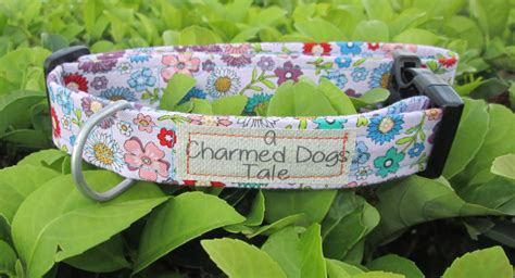 15-21 Daisy Duke Dog Collar 1 Width, Pastel Flower Collar, Dog Collar ...