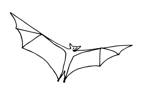 Simple vector drawing in black outline. Bat isolated on a white ...