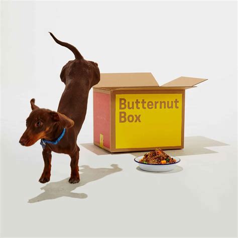 13 Best Dog Food Subscription Boxes of 2024 - Urban Tastebud