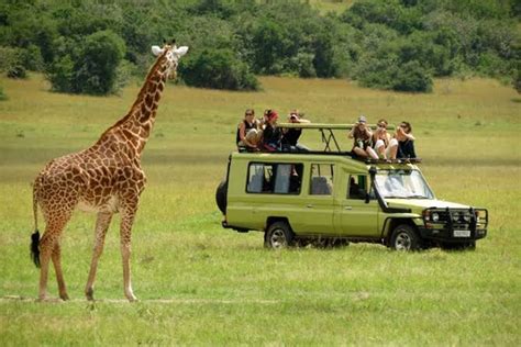 7 Days Tanzania Wildlife Safari | Tanzania Wildlife Safari