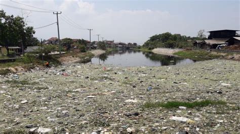 Tiga Sungai yang Tercemar Limbah Pabrik di Kawasan Pendidikan ...