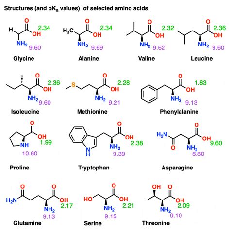 Amino Acid Structure