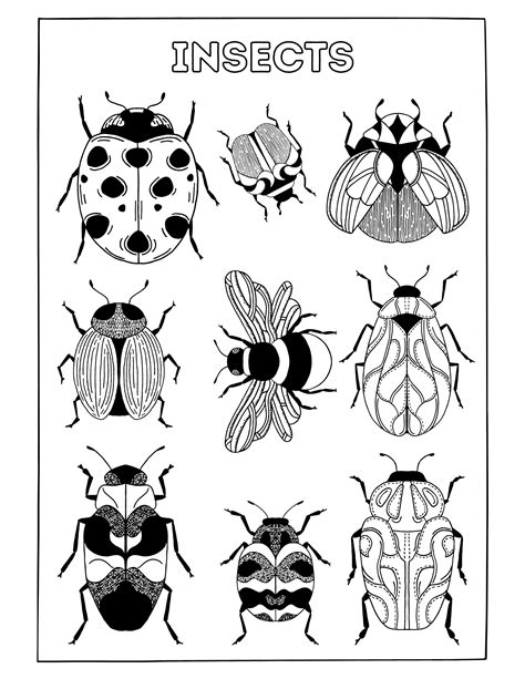 Entomophile - a person who loves insects – Edmonds Love