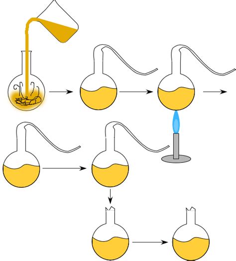 The Experiments of Redi and Pasteur Helped to Demonstrate That