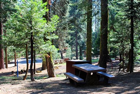 9 Best Campgrounds at Kings Canyon National Park, CA | PlanetWare