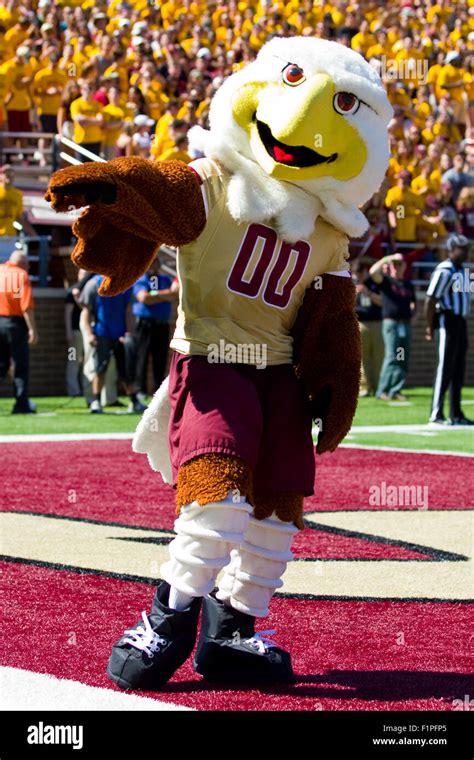 Boston college eagles mascot hi-res stock photography and images - Alamy