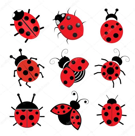 Ladybugs — Stock Vector © joinanita #76709445