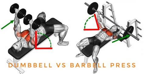 Barbell vs. Dumbbell Bench Press Thornton CO Gym | AFAC Gym