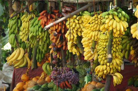 Top Varieties of Bananas in India: Best List, Banan Types for Higher ...