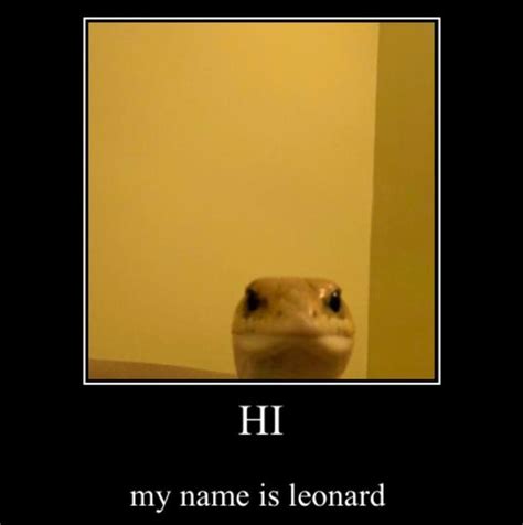 Lizard Meme Face - img-Baback